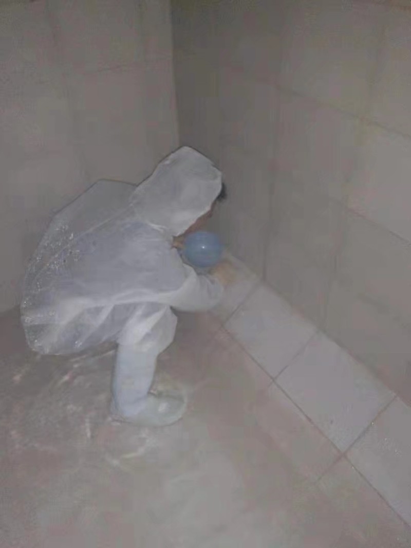 青白江清洗水池 清洗生活水箱公司 服务热情 细心谨慎